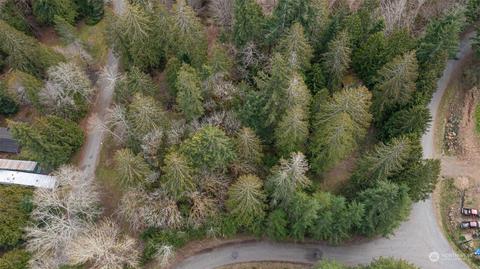 0 Boulder Dr, Brinnon, WA 98320