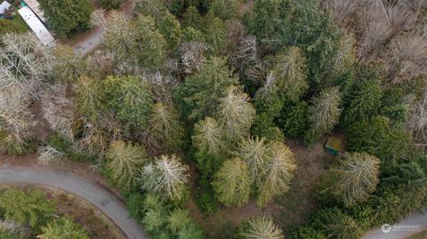 0 Boulder Dr, Brinnon, WA 98320 photo 7