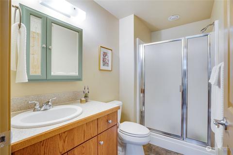 81 E Olympic Dr, Grapeview, WA 98546 photo 20