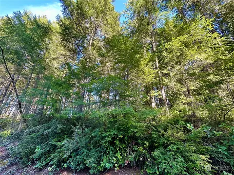 8911 126th Avenue Ct, Anderson Island, WA 98303