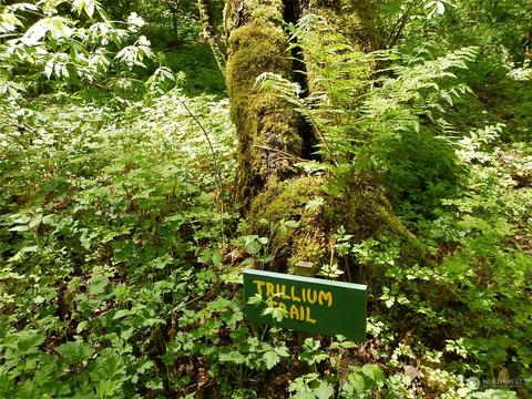 2351 E Pole Rd, Everson, WA 98247 photo 38