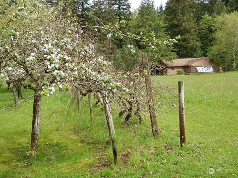 2351 E Pole Rd, Everson, WA 98247 photo 21