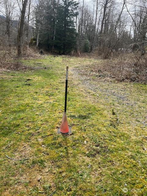 254 Nnn 354th Ave SE, Ravensdale, WA 98051