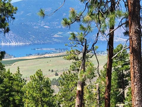 0 Idyll Spurs Ln, Chelan, WA 98816