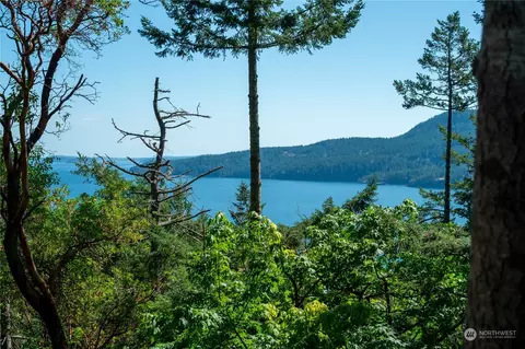 524 Cascade Way, Eastsound, WA 98245 photo 23