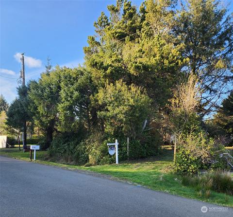 176 N Narwhal Loop NW, Ocean Shores, WA 98569