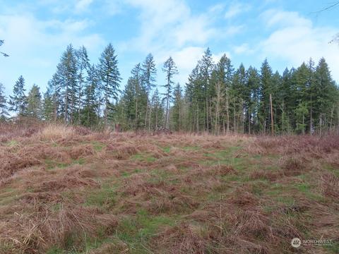 8315 330th St E, Eatonville, WA 98328