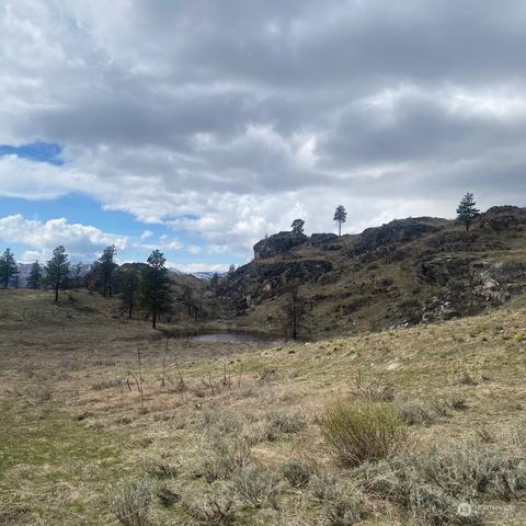 0 Tbd, Malott, WA 98829 photo 10