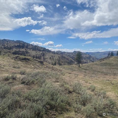0 Tbd, Malott, WA 98829 photo 8