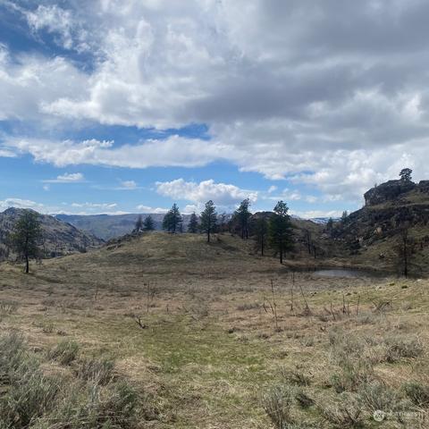 0 Tbd, Malott, WA 98829 photo 9