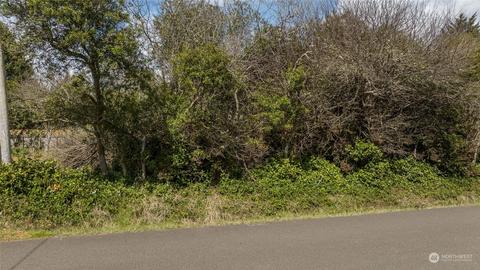 176 Satsop St SW, Ocean Shores, WA 98569
