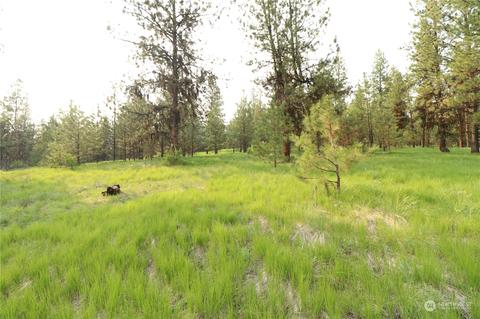 123 Sunrise Rd, Oroville, WA 98844