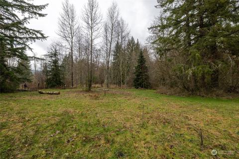 0 212th Ave E, Elbe, WA 98330 photo 13