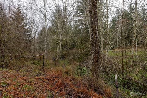 0 212th Ave E, Elbe, WA 98330 photo 3