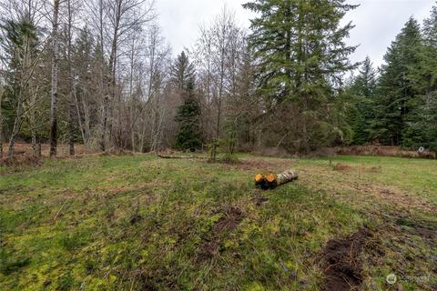 0 212th Ave E, Elbe, WA 98330 photo 12