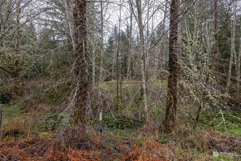 0 212th Ave E, Elbe, WA 98330 photo 2