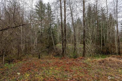 0 212th Ave E, Elbe, WA 98330 photo 5