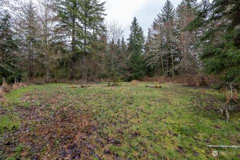 0 212th Ave E, Elbe, WA 98330 photo 11