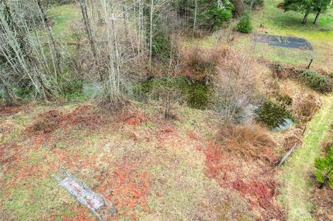 0 212th Ave E, Elbe, WA 98330 photo 38
