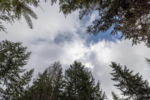 0 212th Ave E, Elbe, WA 98330 photo 19