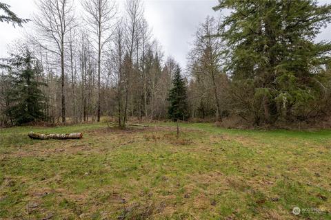 0 212th Ave E, Elbe, WA 98330