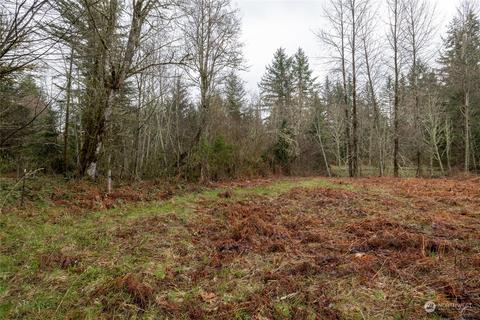 0 212th Ave E, Elbe, WA 98330 photo 6
