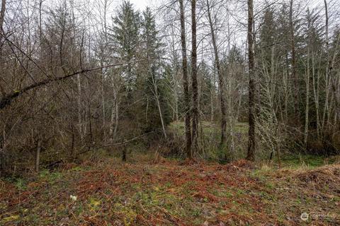 0 212th Ave E, Elbe, WA 98330 photo 4
