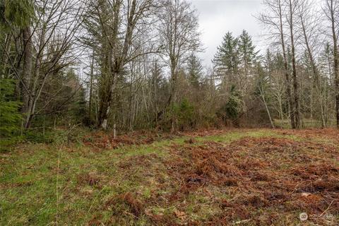 0 212th Ave E, Elbe, WA 98330 photo 7