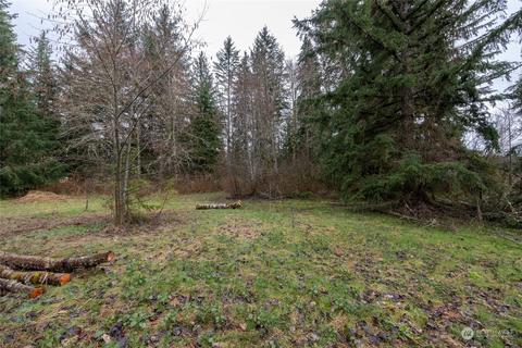 0 212th Ave E, Elbe, WA 98330 photo 16
