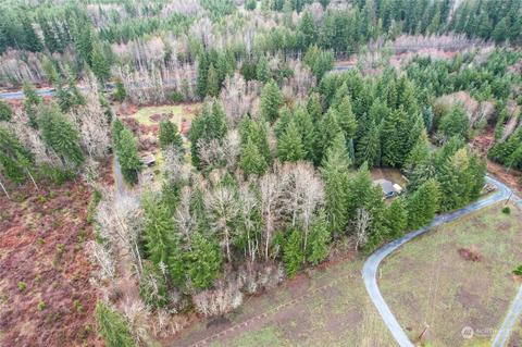 0 212th Ave E, Elbe, WA 98330 photo 30