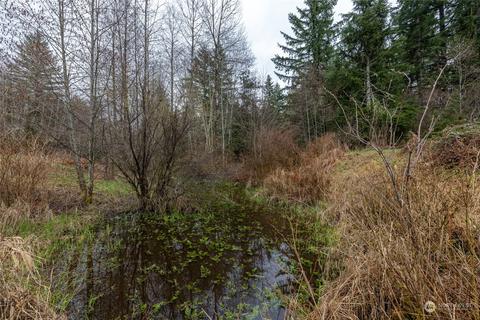 0 212th Ave E, Elbe, WA 98330 photo 18