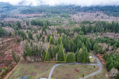 0 212th Ave E, Elbe, WA 98330 photo 28