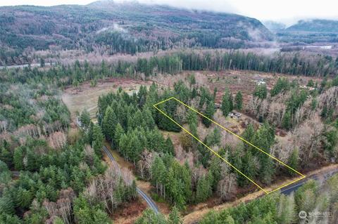 0 212th Ave E, Elbe, WA 98330 photo 21