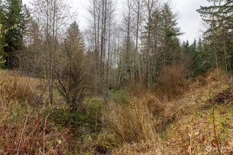 0 212th Ave E, Elbe, WA 98330 photo 9