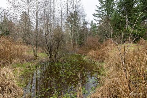 0 212th Ave E, Elbe, WA 98330 photo 8