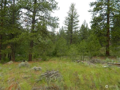 4 Neil Circle Rd S, Tonasket, WA 98855