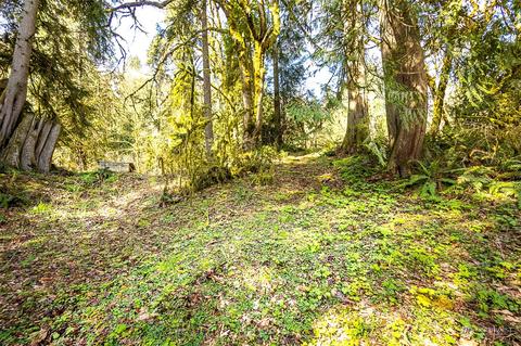 8801 W Snoqualmie Valley Rd NE, Carnation, WA 98014