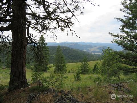 0 Tbd Two Sisters Way, Curlew, WA 99118