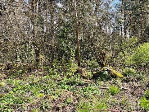40050 226th Ave SE, Enumclaw, WA 98022 photo 25