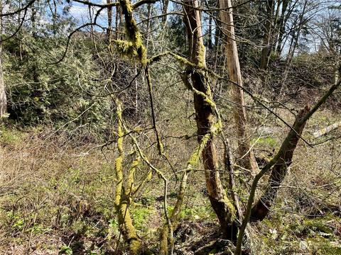 40050 226th Ave SE, Enumclaw, WA 98022 photo 15
