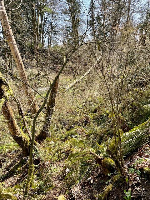 40050 226th Ave SE, Enumclaw, WA 98022 photo 13