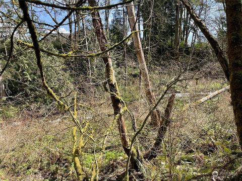 40050 226th Ave SE, Enumclaw, WA 98022 photo 24