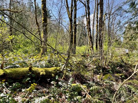 40050 226th Ave SE, Enumclaw, WA 98022 photo 12