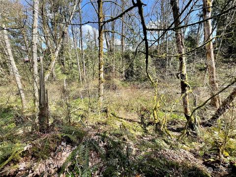 40050 226th Ave SE, Enumclaw, WA 98022 photo 23