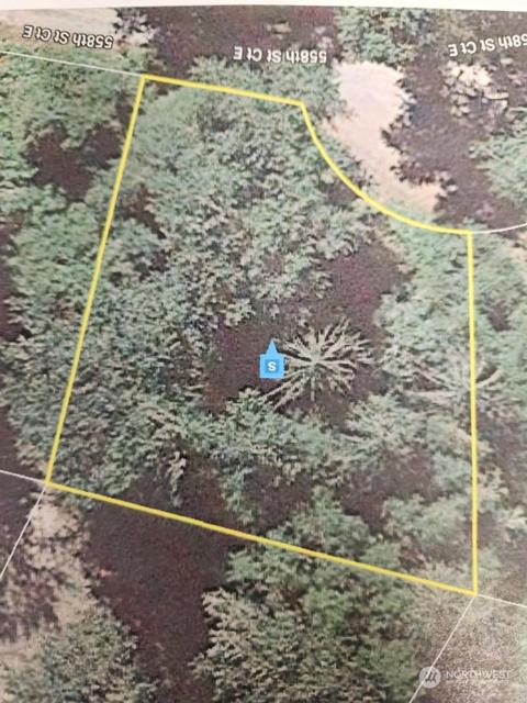 31411 558th Street Ct E, Ashford, WA 98304