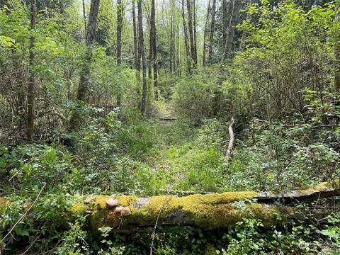 16201 30th Ave NW, Lake Goodwin, WA 98292