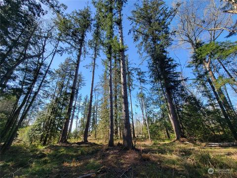 7700 Custer School Rd, Custer, WA 98240 photo 16