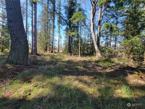 7700 Custer School Rd, Custer, WA 98240 photo 13