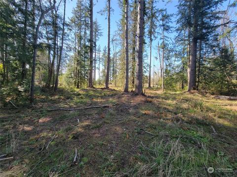 7700 Custer School Rd, Custer, WA 98240 photo 15