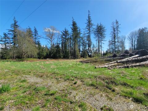 7700 Custer School Rd, Custer, WA 98240 photo 6